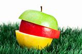 Combination of green, yellow and red apples on grass