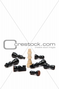 White king and black pieces of chess