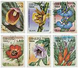 Set of stamps with flowers
