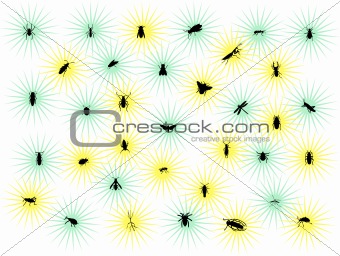 stars with bugs