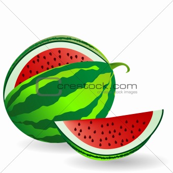 Watermelon with fruit slice