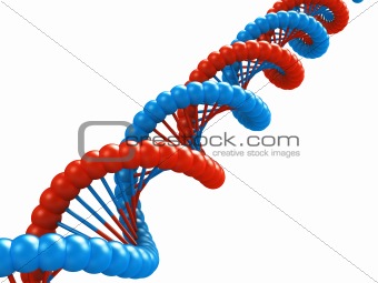 DNA model.