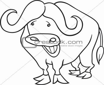 african buffalo for coloring book