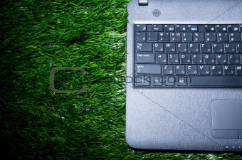 laptop on grass