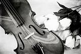 Violin and Roses in Black and White Grunge