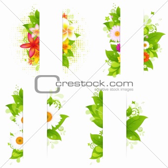 Collection Of Bunches Of Flowers And Leaves With Paper
