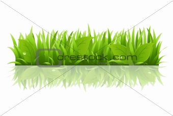 Grass And Leafs