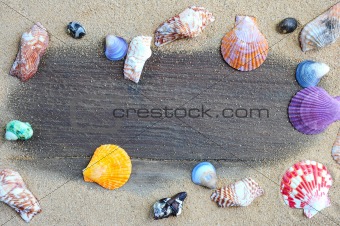 shell on the sand around wood background