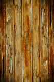 abstract texture of wood