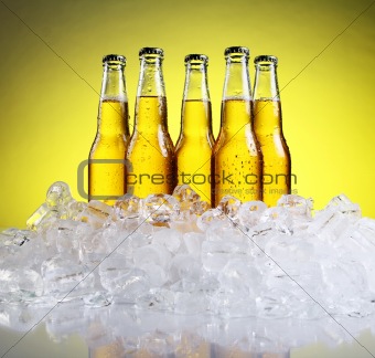 Five bottles of beer on a yellow background