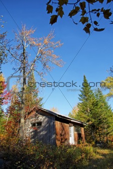 Vertical of old wood cabin