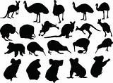 animals of australia collection