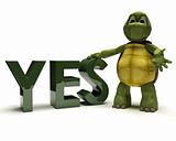 tortoise with a yes sign