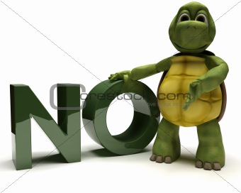 Tortoise with no sign