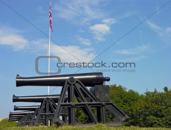 Old military defence cannons