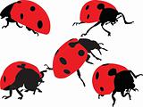 ladybird silhouette collection