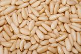 pine nuts background