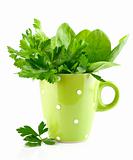 green parsley and spinach in cup