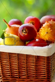 Basket of tropical fruits.