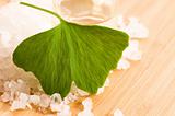 fresh leaves ginko biloba essential oil and sea salt - beauty treatment