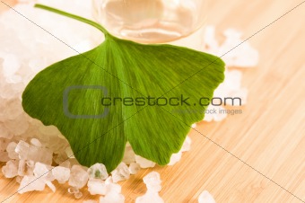 fresh leaves ginko biloba essential oil and sea salt - beauty treatment