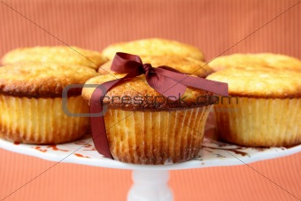 Fresh homemade cupcake  to stand on a striped background