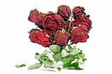 Bouquet of dried roses on a white background