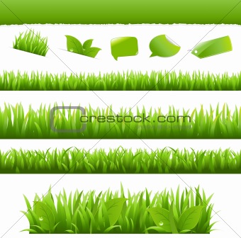 Green Grass And Leafs Set
