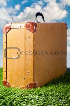 suitcase on grass