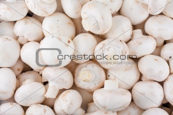 Fresh whole mushrooms