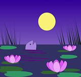Pond in moonlight
