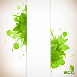 Design Eco Friendly