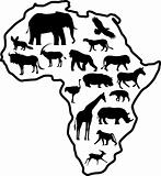 Africa animal