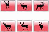 deers collection buttons
