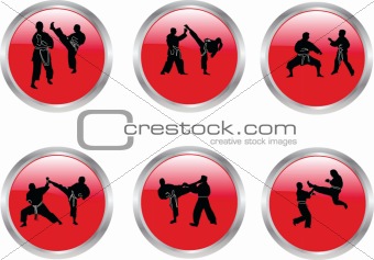 buttons with karate  collection