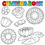 Coloring book with flowers set