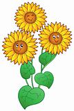 Three cute sunflowers