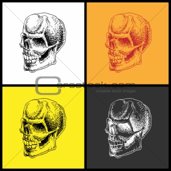 Set of doodle skulls.