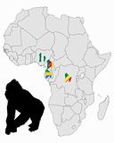 Africa Gorilla range
