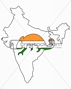 India Chameleon