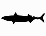 Atlantic Mackerel silhouette