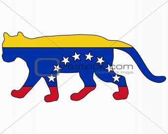 Cougar Venezuela
