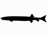Beaked salmon silhouette