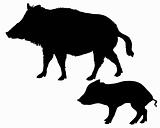 Wild boars silhouettes