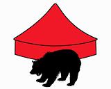 Grizzly bear in circus