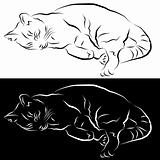 Sleeping Cat Line Drawing