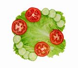 Lettuce with cucumber and tomato slices