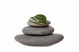 zen stone with leaf,isolated on white.