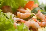 Fresh salad with shrimps 