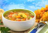 Fresh Vegetable Soup